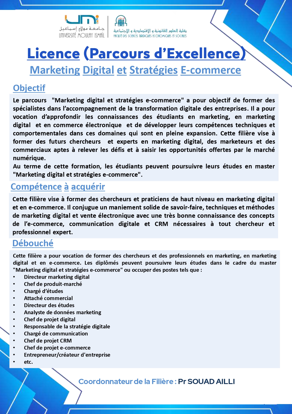Marketing Digital et Stratégies E-commerce